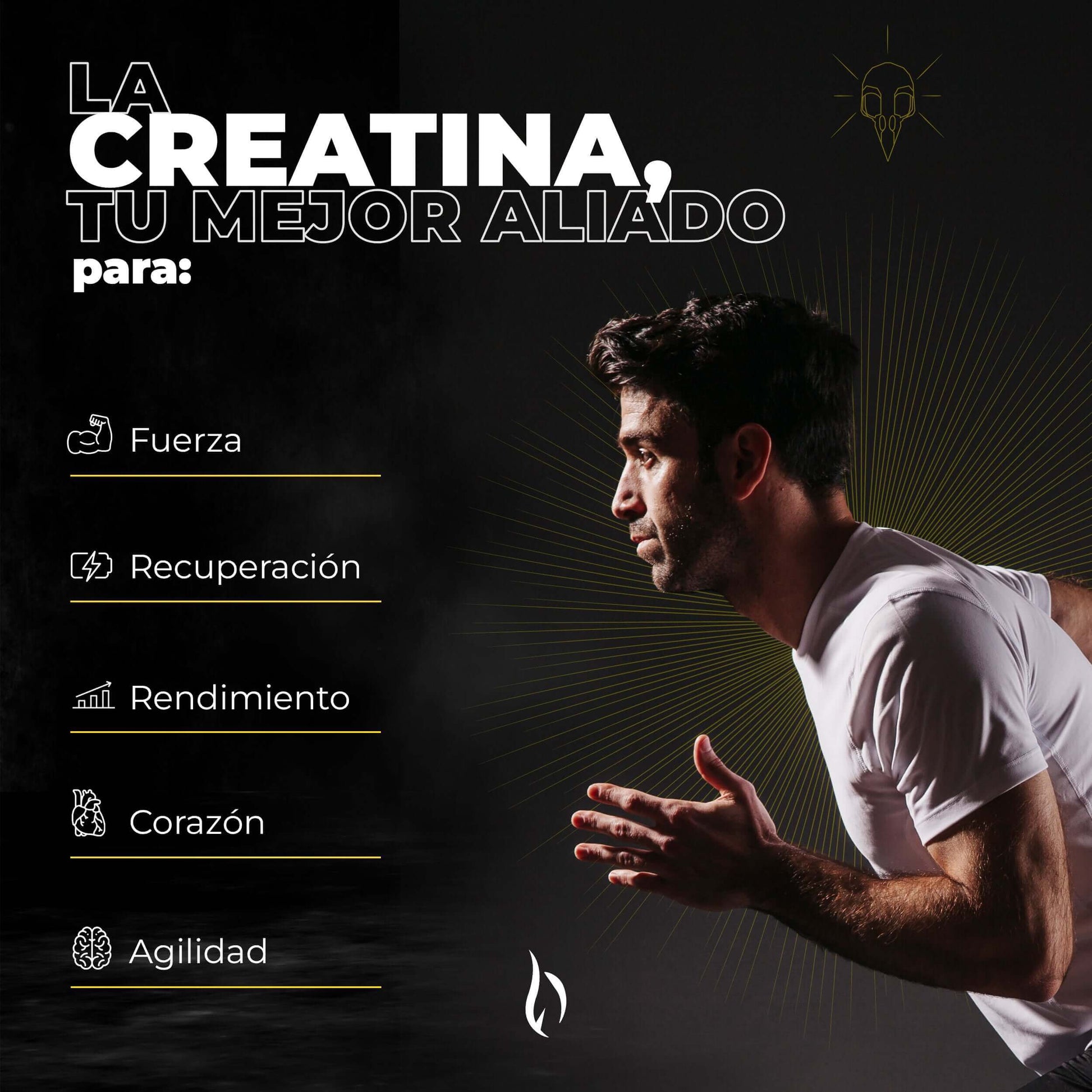 recuperación apoyo muscular salud corazon creatina pre entreno