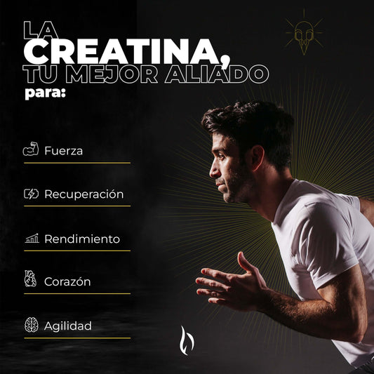 recuperación apoyo muscular salud corazon creatina pre entreno