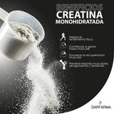 Creatina Monohidratada de Máxima Pureza en Polvo - Suplemento Alimenticio de Alto Rendimiento - 90 Servicios - 450 g para 3 Meses